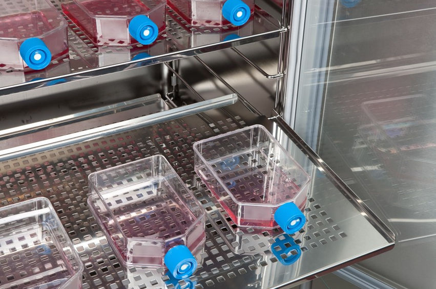 Incubator CO₂ Leec model Touch - 6