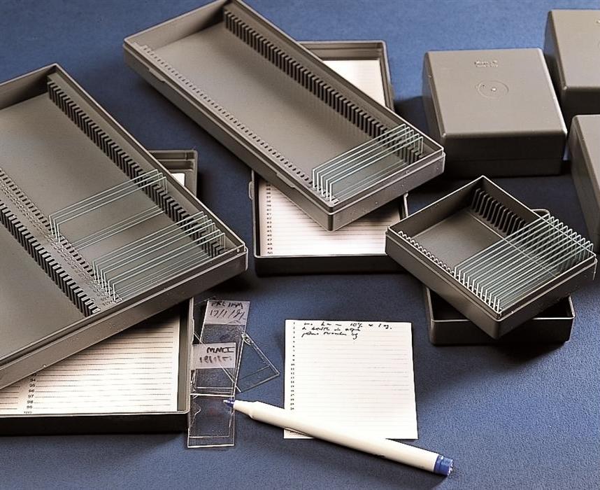 Pudełka PS na szkiełka mikroskopowe - 1