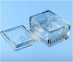 Schiefferdecker glass stainer