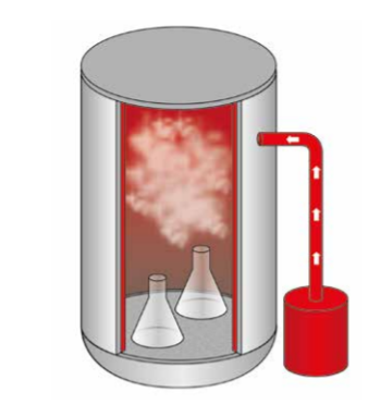 Autoclaves TLV basic - 2