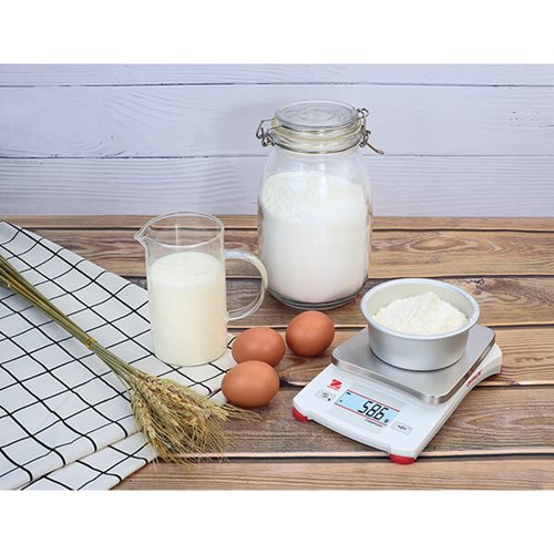 Wagi przenosne COMPASS™CX - 4