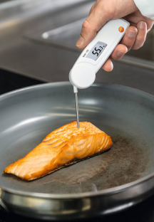 Digital penetration thermometer 103 - 5