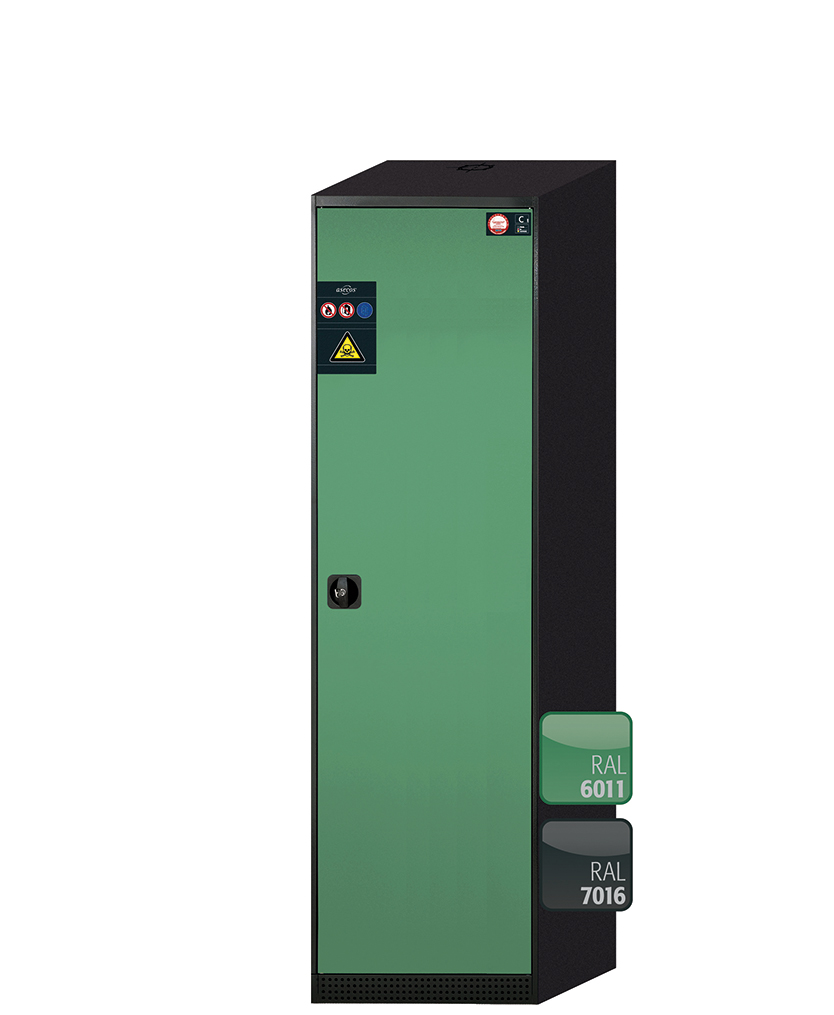 Szafa na chemikalia CS-CLASSIC o szerokości 54 cm i wysokości 195 cm - 2