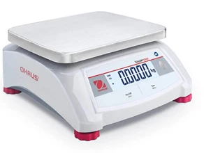 Valor 1000 industrial scale